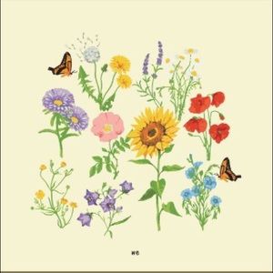 Meet your Posher, Alina